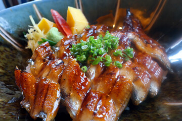 Glossy grilled eel over rice.