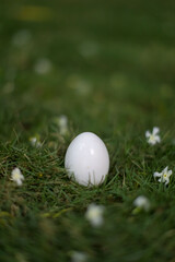 Easter white egg in the grass with white blossoms