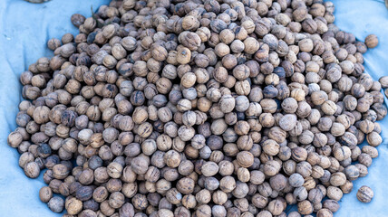 Walnuts crop harvested in the season