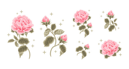 Set of vintage romantic pastel pink rose flower feminine logo, beauty label illustration and clipart elements