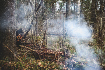 Dense white smoke from a campfire in an autumn forest