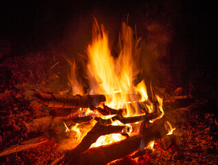 Autumn night campfire, blurred orange fire flames in the dark, burning birch wood, dry foliage around, red shining coals