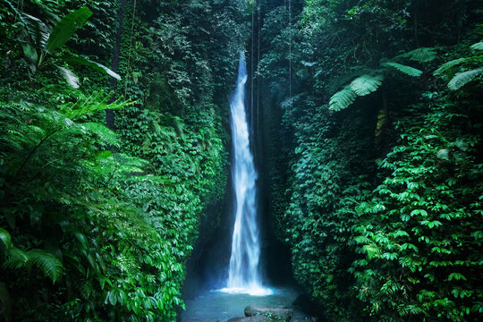 Beautiful hidden Leke Leke waterfall near Ubud in Bali, Indonesia.  Secret Bali Waterfall in tropical rainforest.