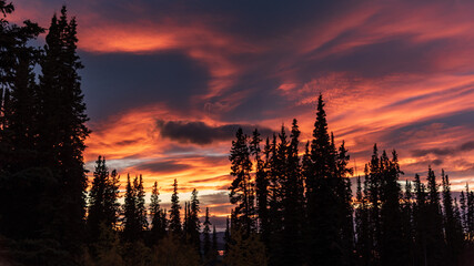 Incredible pink, orange sunset landscape view in Canada during fall, autumn. 