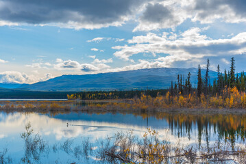 Landscape view in northern Canada during fall with mountain reflection in calm lake below cloudy, blue sky. 