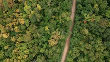 View from above. A car is driving along a dirt forest road. Taiga road in Russia. Car adventure. Green endless forest around the highway. - Powered by Adobe