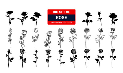 Fototapeta na wymiar Set of Rose set isolated on white background vector illustration 01 