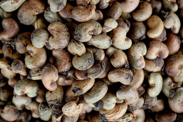 Close-up pile of raw cashew nut seed 