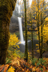 Beautiful flowing waterfall and fall color in autumn forest, Silver Falls State Park, Oregon