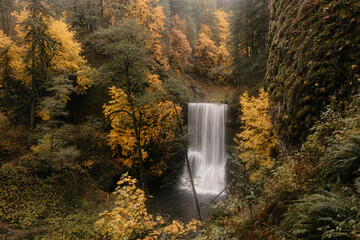 Tranquil waterfall flowing in autumn woodland forest of Oregon
