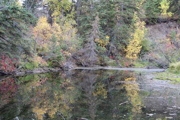 Autumn Reflections, Whitemud Park, Edmonton, Alberta