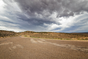 A Postcard of the Arizona Desert