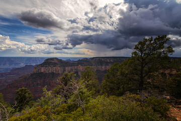 Fototapeta na wymiar Grand Canyon National Park North Rim