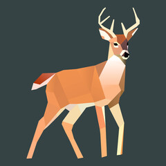 Deer low poly design vector art