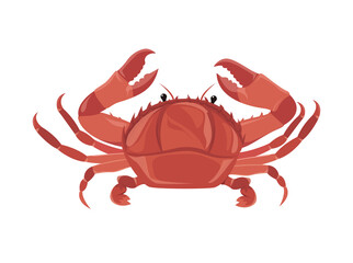 Crab, seafood in cartoon style. Illustration of a marine animal