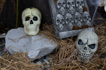 human skull on grunge halloween background