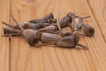 Close up shot of Poppy seed pod on wooden background - Poppy seeds benefits concept