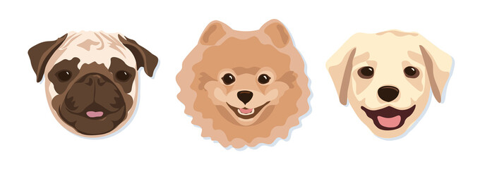 A selection of cute muzzles of spitz, pug and labrador dog breeds.