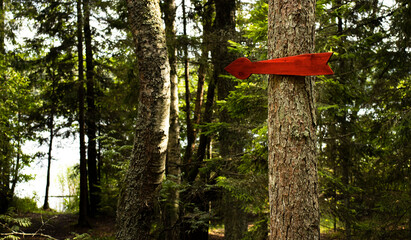red arrow pointer made of wood on a tree in the forest.