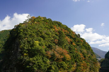 川上村　山秋色