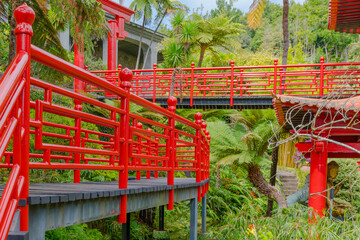 Botanical garden at Funchal, Madeira