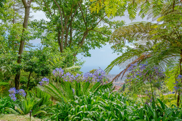 Botanical garden at Funchal, Madeira