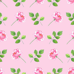 Seamless watercolor pattern with flowers. Pink rose and green leaves on a pink background.
