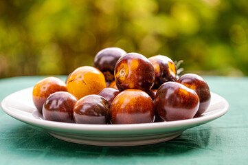 fresh cherry tomatoes of different varieties on a plate on the blurred background, closeup