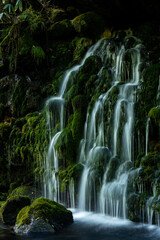 Fototapeta premium 苔が生えた緑の岩と滝の流れ