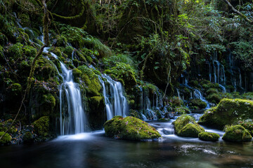 苔が生えた緑の岩と滝の流れ