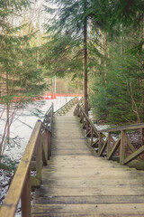 Fototapeta premium Wooden steps in the forest at a ski resort. Wooden road in the forest.