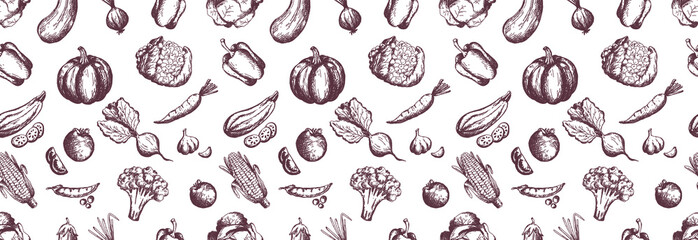 hand drawing vegetables seamless background corporate identity. horizontal banner design. Templates set. 