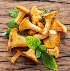 Golden chanterelle mushrooms on the old wooden table.