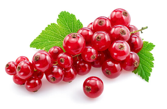 Ripe redcurrant berries on white background. Close-up.