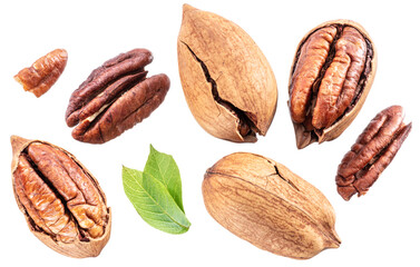 Set of shelled and cracked pecan nuts isolated on white background.