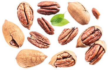 Set of shelled and cracked pecan nuts isolated on white background.