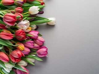 Colorful  bouquet of tulips on gray background.
