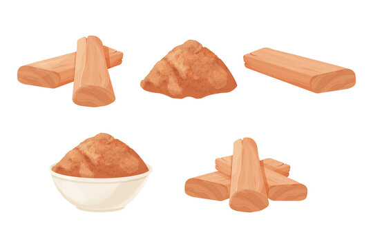 Set Chandan or sandalwood pieces, dried powder in bowl aromatherapy ingredient detailed in cartoon style isolated on white background. Cut part, close up, medical plant.