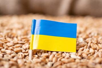 Flag of Ukraine on wheat. Harvest of wheat in Ukraine concept