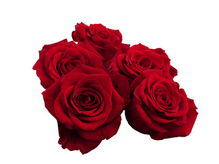 Red rose flowers arrangement isolated on black background
