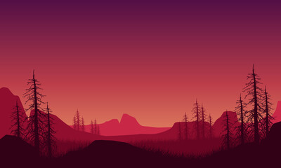 The view of the mountains with an aesthetic silhouette of dry pine trees in the sunset from the countryside