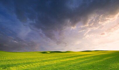 Bright sunset, forest edge and green meadow.