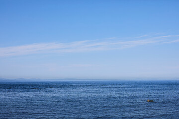 Obraz premium うみ