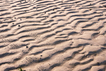Warm sand texture. Abstract nature background for design.