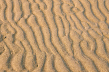 Warm sand texture. Abstract nature background for design.