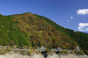川上村　秋色に染まる山