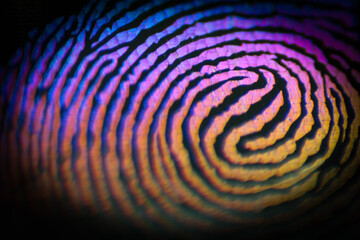 Emprunte digitale multicolore © Marjorie