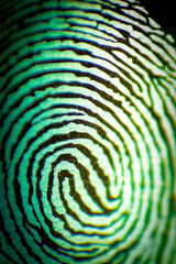 background finger print