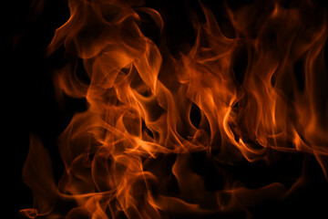 Flame fires. Burn lights on a black background. Fire flames on black background. Abstract fire...