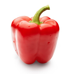 single bell pepper isolated on white. entire image in sharpness.